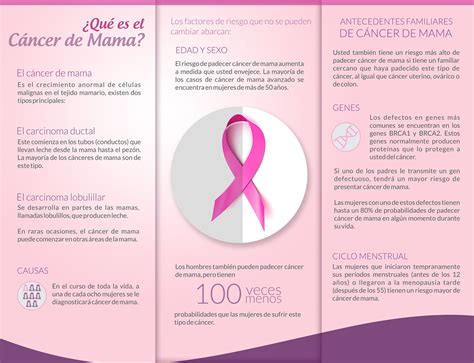 Triptico Cancer De Mama