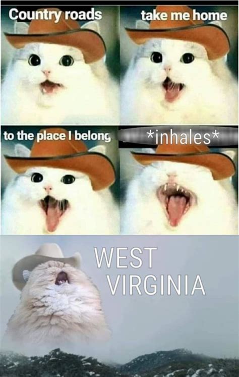 Dank Meme Country Roads Take Me Home Cat Meme Country