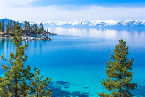 Welcome to the spectacular natural beauty of lake. Dramatic decline in population of Lake Tahoe's tiniest ...