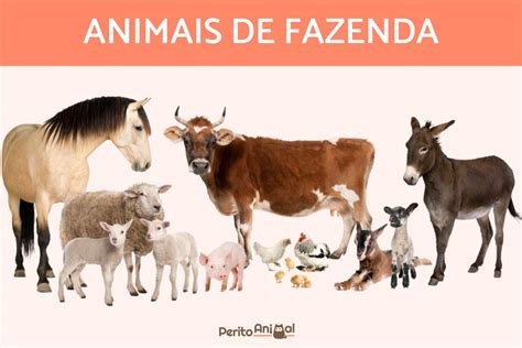 25 Animais De Fazenda Com Fotos Ilustrações Para Colorir E Mais