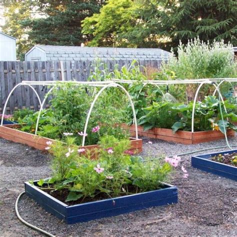 10 Easy Vegetable Garden Layout Ideas For Beginner Decoredo
