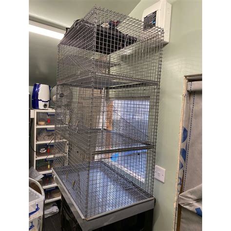 Large Metal Rat Cage In Pontypool Torfaen Gumtree