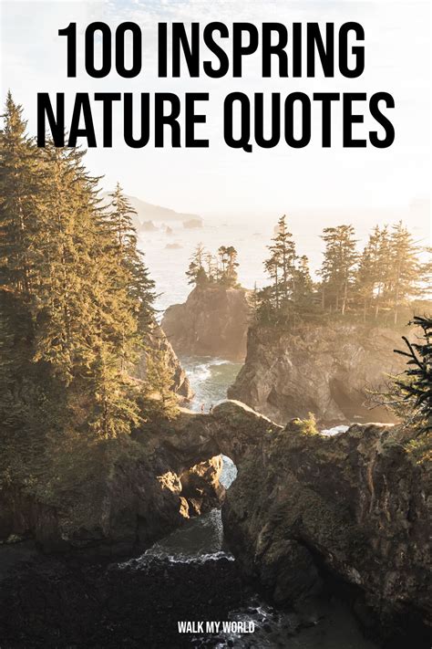 120 Beautiful Nature Captions Which Are Perfect For Your Instagram Pics