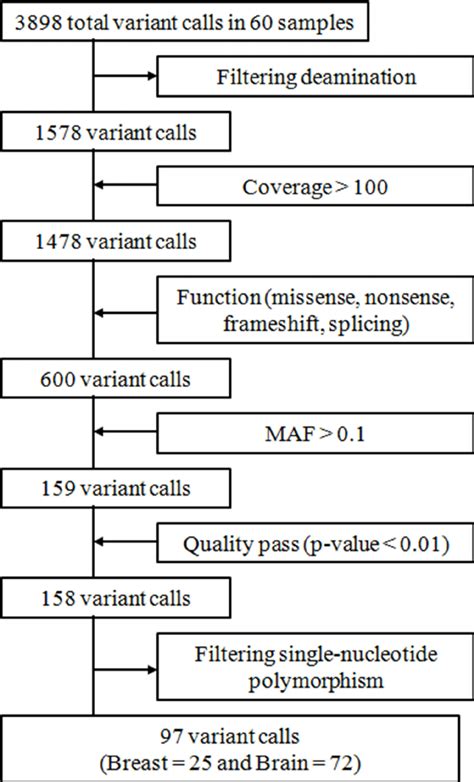 Summary Of Variant Call Processing Download Scientific Diagram