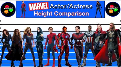 Hollywood Actoractress Height Comparison Marvel Movies Youtube
