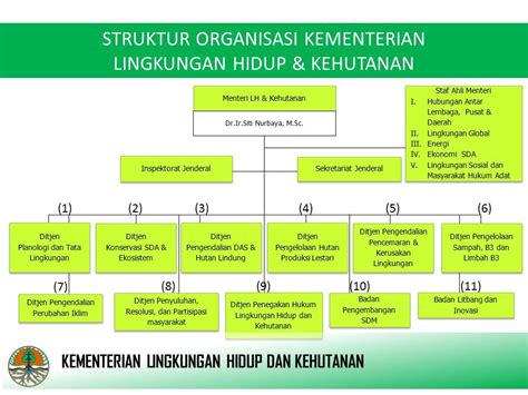 Struktur Organisasi Dinas Kehutanan Dan Lingkungan Hidup Provinsi Papua