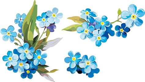 Watercolor Painting Paper Clip Art Forget Me Not Flowers Watercolor