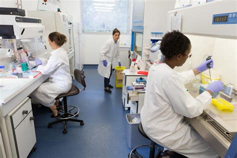Le Laboratoire De Parasitologie Institut Pasteur De Guyane