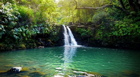 The Very Best Of Maui S Beautiful Waterfalls Ranked