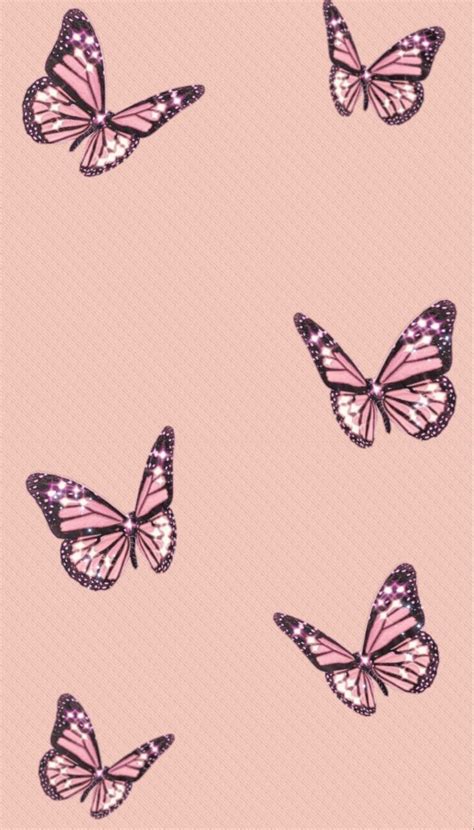 Cartoon Butterfly Wallpapers Wallpaper Cave