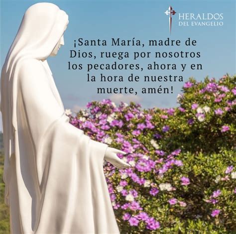 Pin De Juan Carlos En CatÓlicos Y Marianos⛪ Evangelio Madre Santa Maria