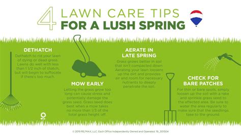4 Lawn Care Tips For A Lush Spring Remax Real Estate Specialists Inc