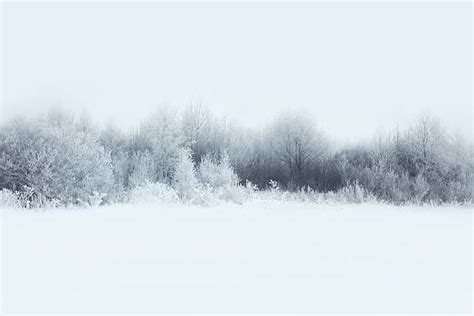 Snow Field Stock Photos Pictures And Royalty Free Images Istock