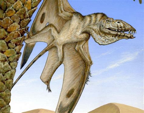A New Pterosaur Species Has Been Discovered In Utah Reptiles Fossils Lion Sculpture