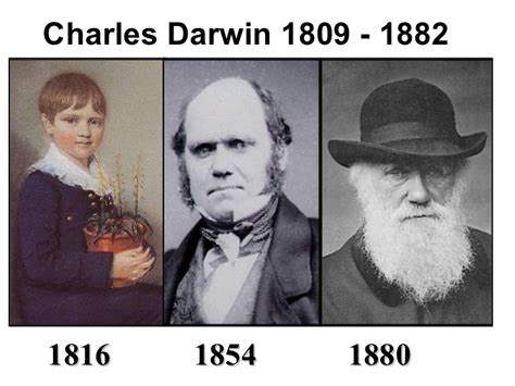 Charles Darwin Biografía Teoría Aportaciones Y Mucho Más