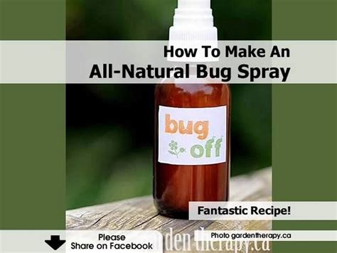 How To Make An All Natural Bug Spray