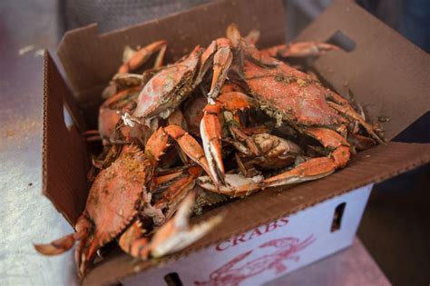 Tl Morris Seafood World Famous Steamed Crabs World Famous Steamed