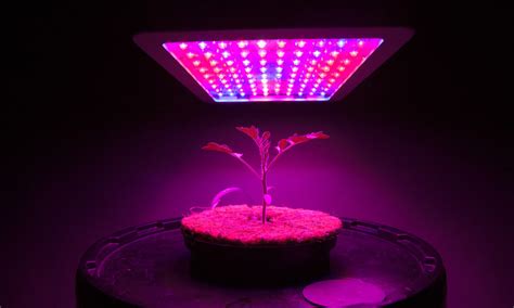 We did not find results for: 10 Best LED Grow Lights For Growing Weed • Page 5 of 9 ...