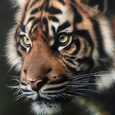 Realistic Airbrush Animal Paintings Animal Paintings Body Art