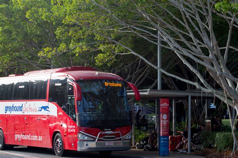 getting to north queensland by bus cairns and great barrier reef
