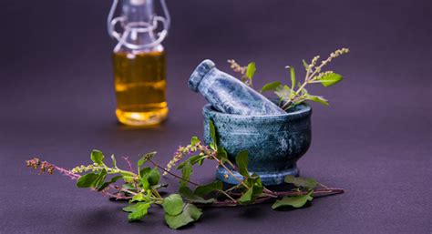 These 12 Benefits Of Tulsi Leaves Will Blow Your Mind