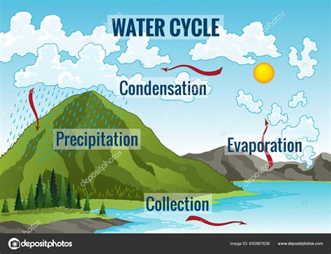Diagrama Del Ciclo Del Agua Proceso Hidrológico Tierra Esquema