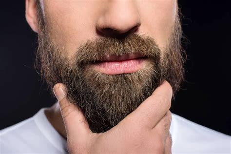 how to soften your beard 6 step by step guide bald and beards