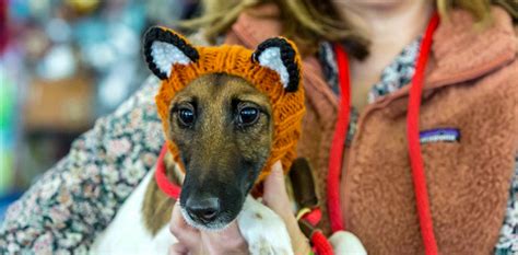 Pet lovers unite: Employees share adorable photos of their animals