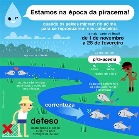 Enem 2017 O Fenomeno Da Piracema