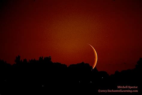 Crescent Moon Setting Over Seattle