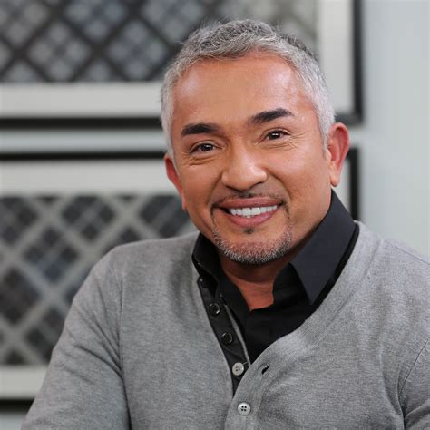 He is in hot water after a pig was attacked by a dog on his show, 'cesar 911,' but video investigators do think he was a bit negligent in the situation, but they think things would be best handled with a conversation about corrective action. Cesar Millan's Dog Advice | POPSUGAR Celebrity