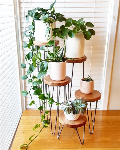 If you like my project, don't forget to share it on facebook and pinterest. HARPER - Hairpin leg plant stand, metal plant stand, plant ...