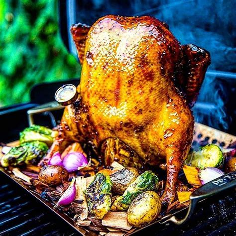 This is chicken brine makes the most succulent, juiciest roast chicken you will ever have in your life! Beer-brined and barbecued wild duck. Stuffed with a garden ...