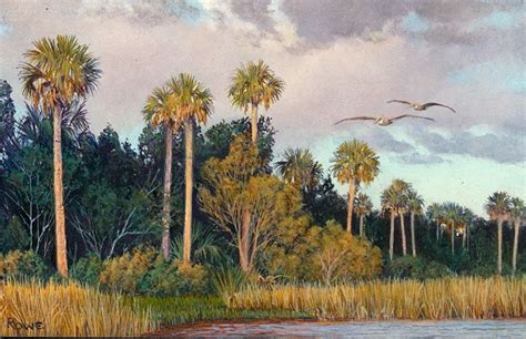 Charles Rowe Florida Wildlife And Landscape Paintings Landscape