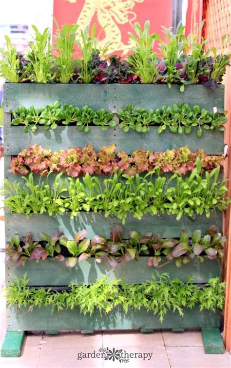 12 Diy Vertical Vegetable Gardening Ideas