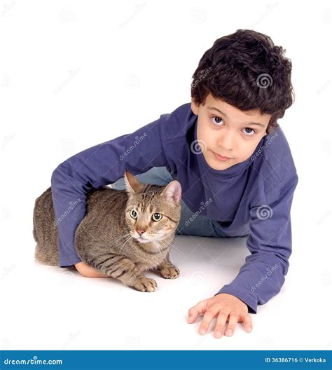 Boy With Cat Stock Photo Image Of Cats Chubby Brown 36386716