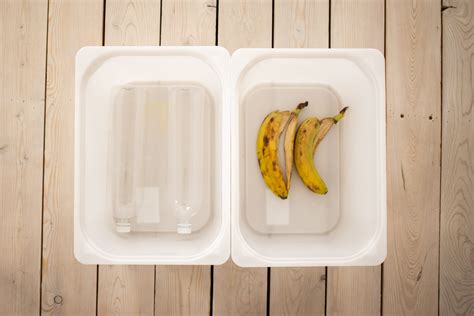 Everything You Need To Know About Biodegradable Food Containers