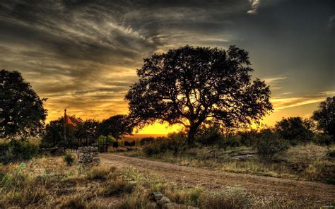 Hd Landscapes Nature Trees Hdr Photography Best Wallpaper Download