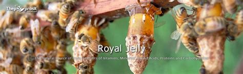 Royal Jelly Thepprasit Honey Online Shopping Malaysia Honey Bee