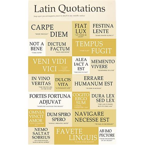 Latin Quotes Latin Quotes Inspirational Latin Phrases