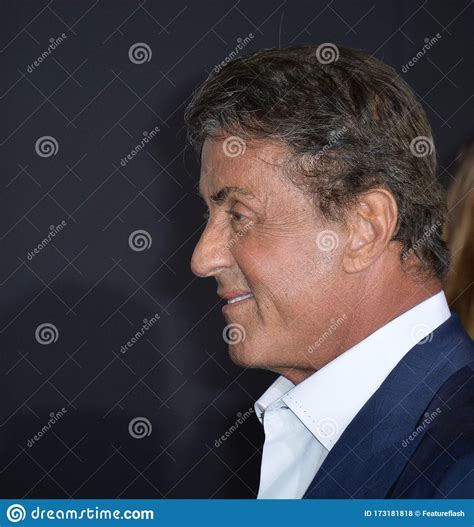 Sylvester Stallone Editorial Stock Photo Image Of Actor 173181818