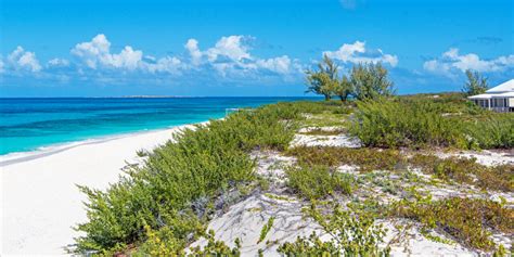 Salt Cay Hotels And Villas Visit Turks And Caicos Islands