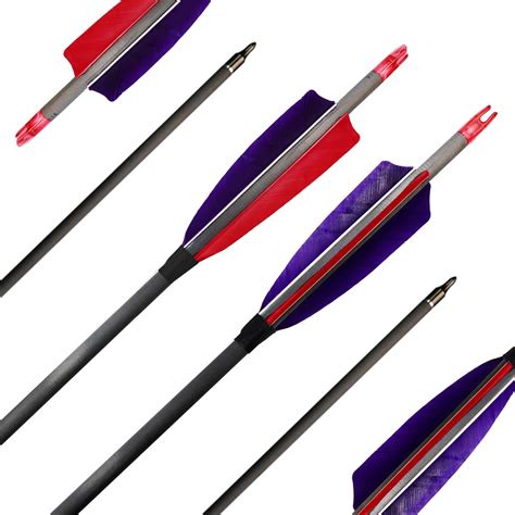 Zhanyi Target Hunting Archery Carbon Arrows 600 Spine With Real Feather