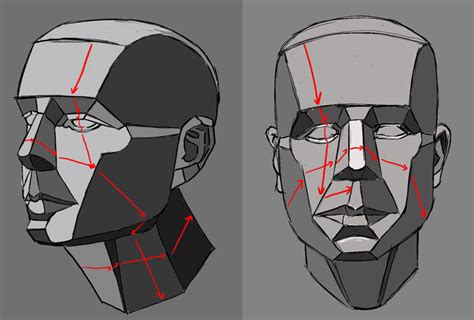 Three Different Angles Of The Head And Neck With Red Lines On Each Side Of The Face