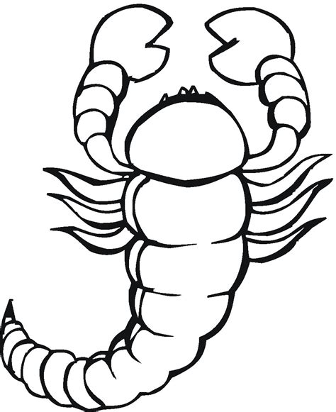 Scorpion Coloring Pages For Kids