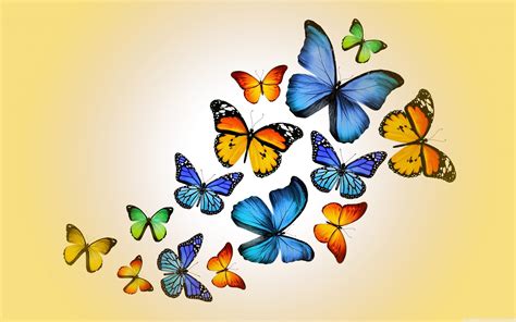 33 Butterfly Hd Wallpapers