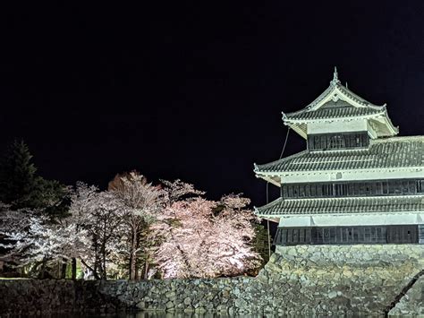 Night Walk Through The Sakura At Matsumoto Castle Sakura 2021