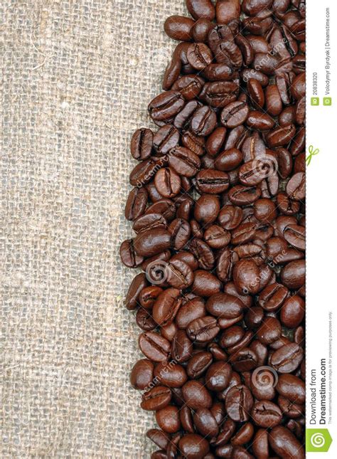 Coffee Grain Stock Photo Image Of Mocha Food Gourmet 20838320