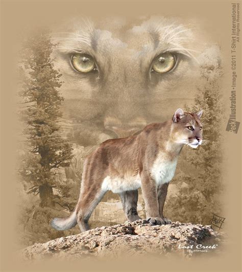 Mountain Lion Drawings Cute Animals Images Big Animals Animal