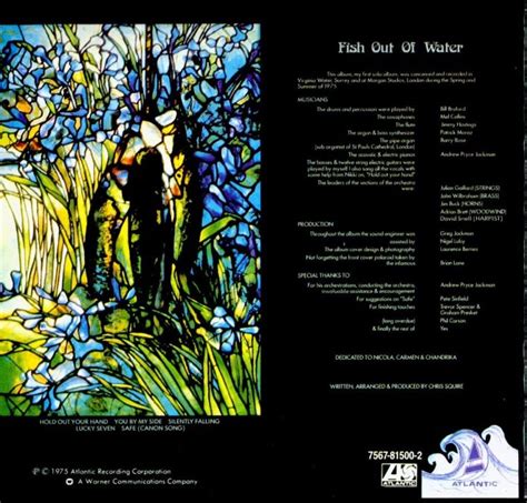 Other phrases about what's the origin of the phrase 'a fish out of water'? NAS ONDAS DA NET: CHRIS SQUIRE - "Fish out of Water" - 1975